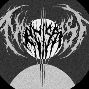 Meet your Posher, Wayne